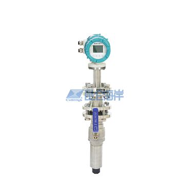 插入式电磁流量计 LDBE-CXE系列